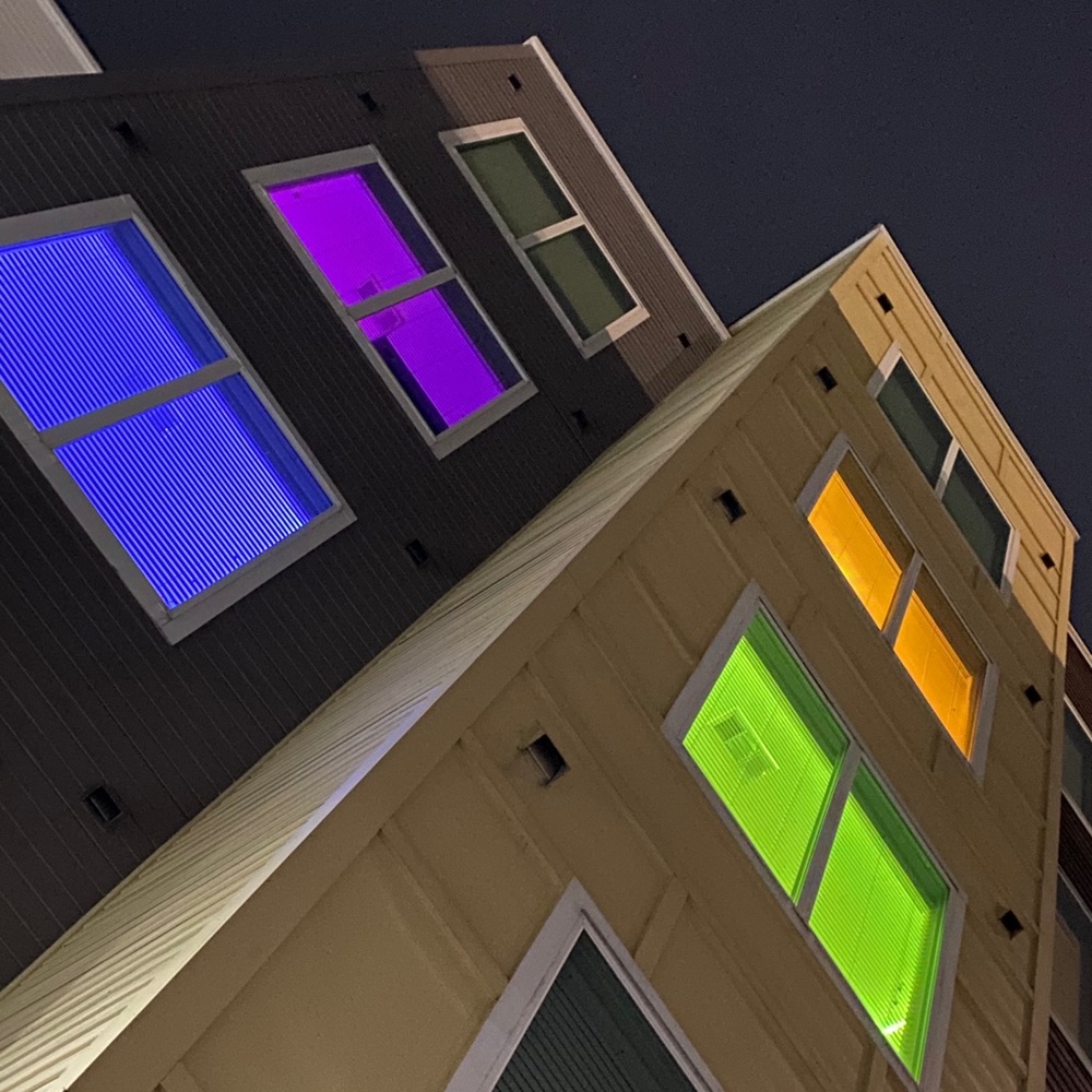 Set of workout shorts